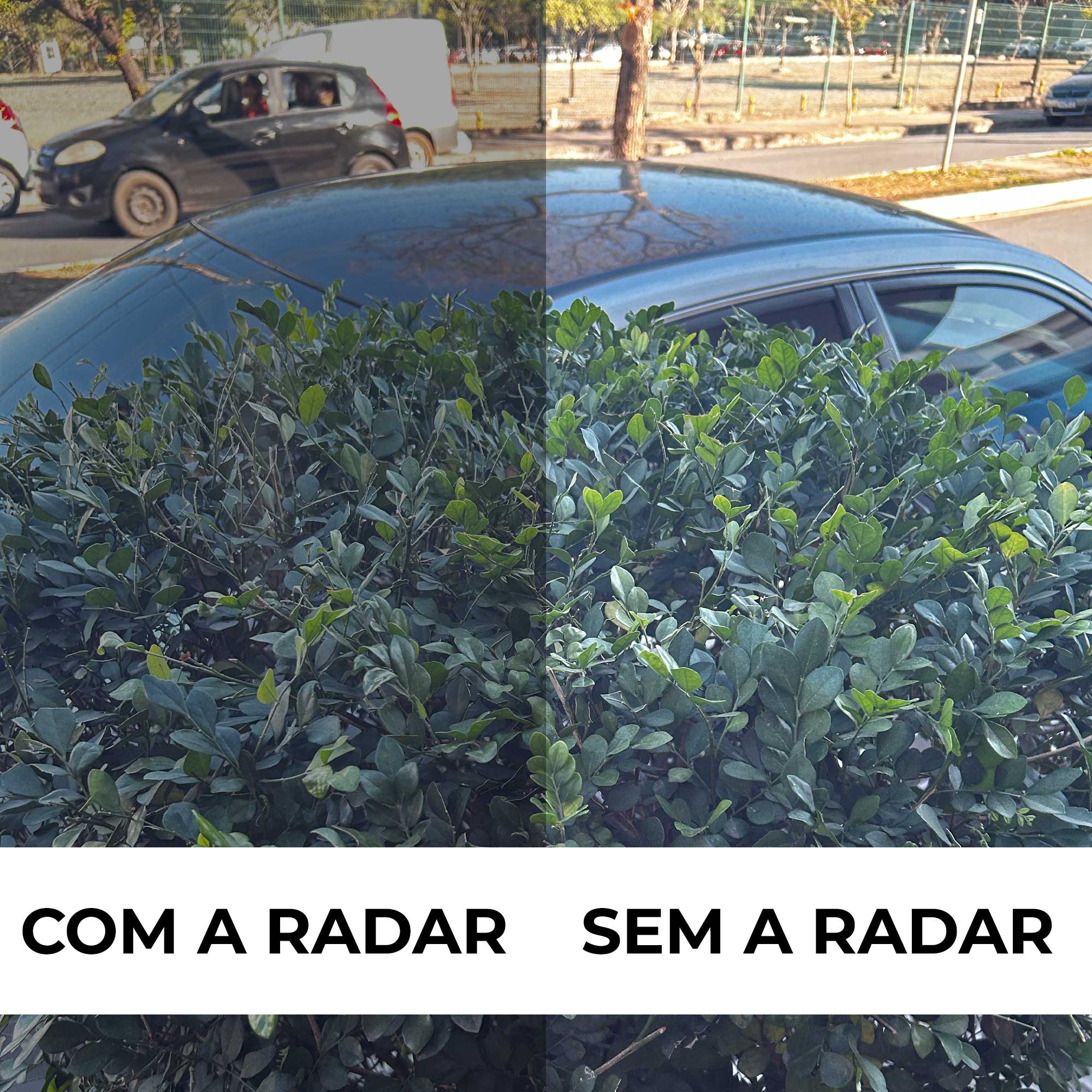 ÓCULOS DE SOL RADAR EV COPPER
