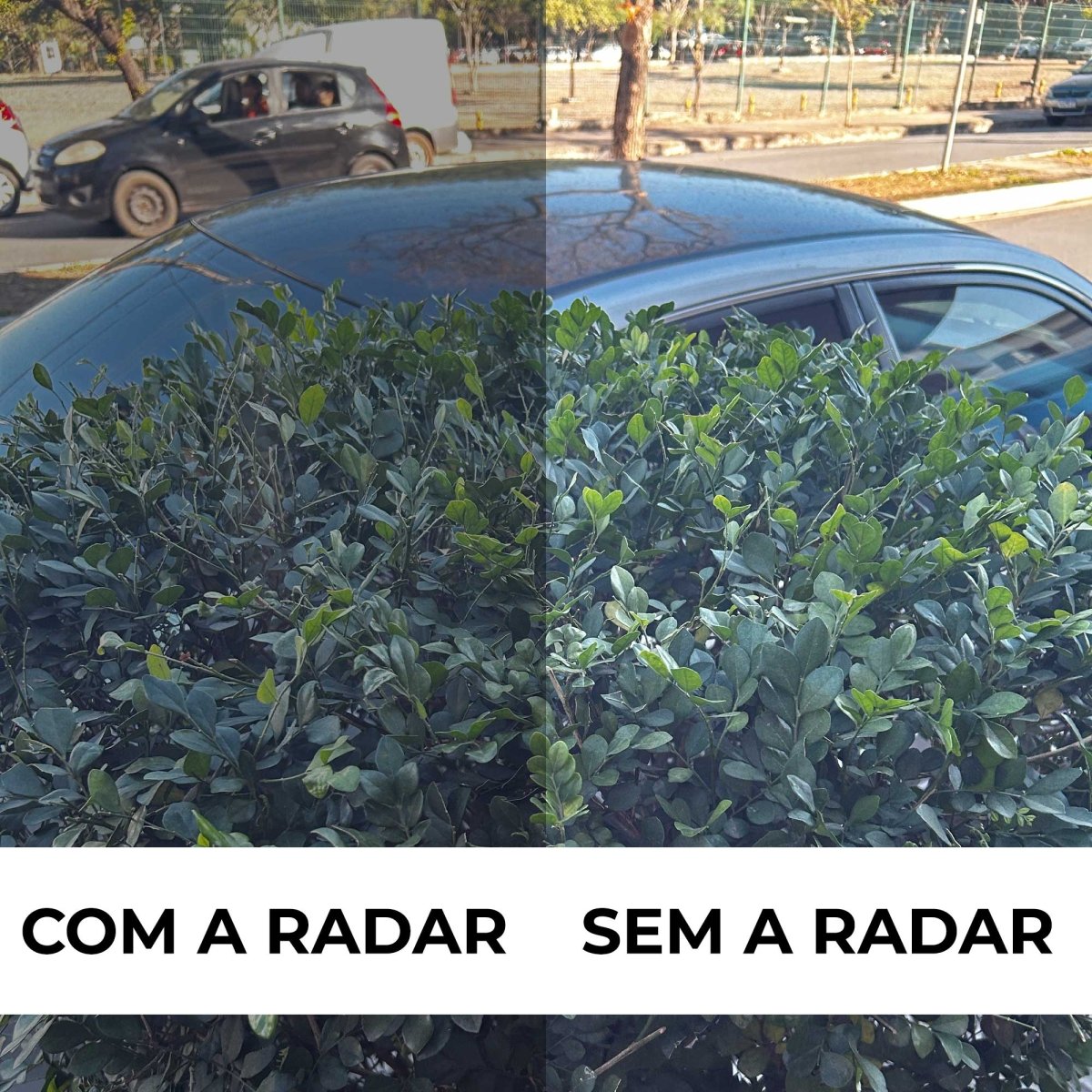 ÓCULOS DE SOL RADAR EV COPPER - Sevet Company