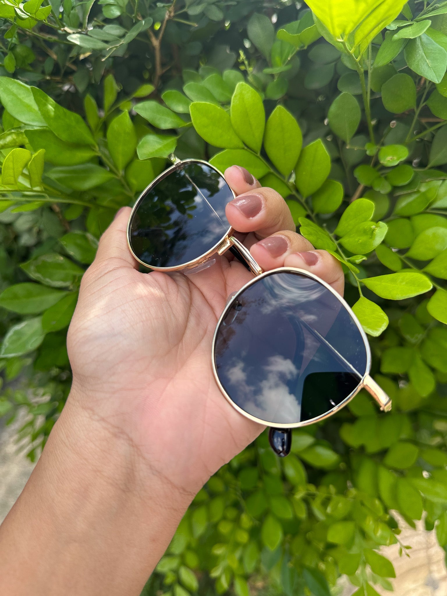 ÓCULOS DE SOL ZOSS LUXURY - Sevet Company