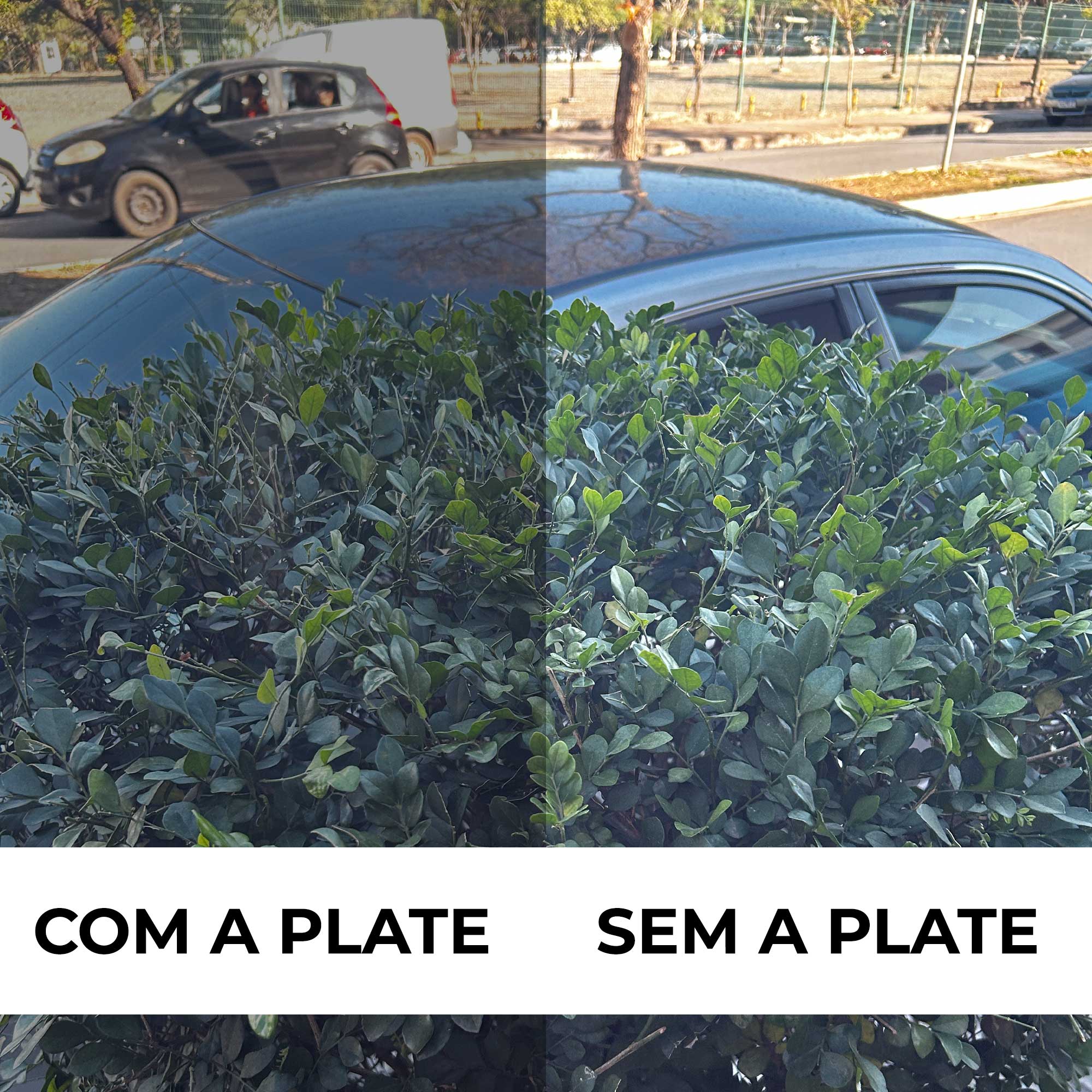 ÓCULOS DE SOL PLATE CARBON