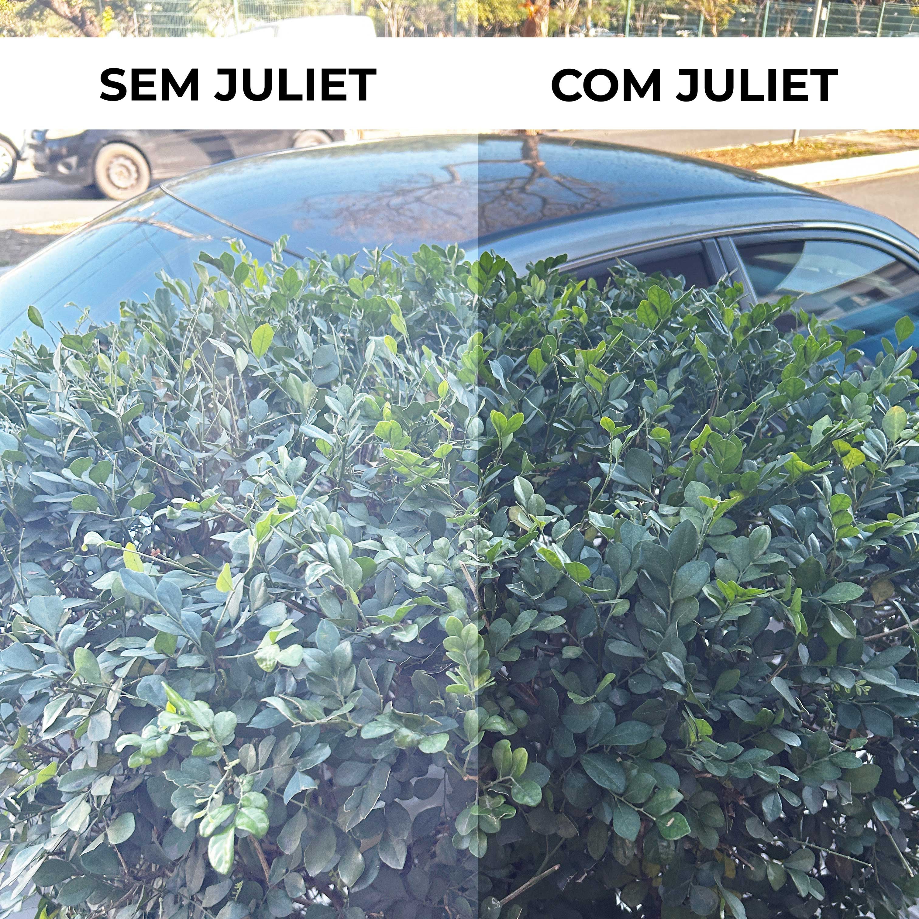 ÓCULOS DE SOL JULIET CARBON LENTE PRETO