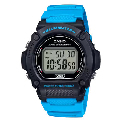 RELÓGIO DE PULSO CASIO STANDART W-219H-2A2VDF-SC (7935270944984)